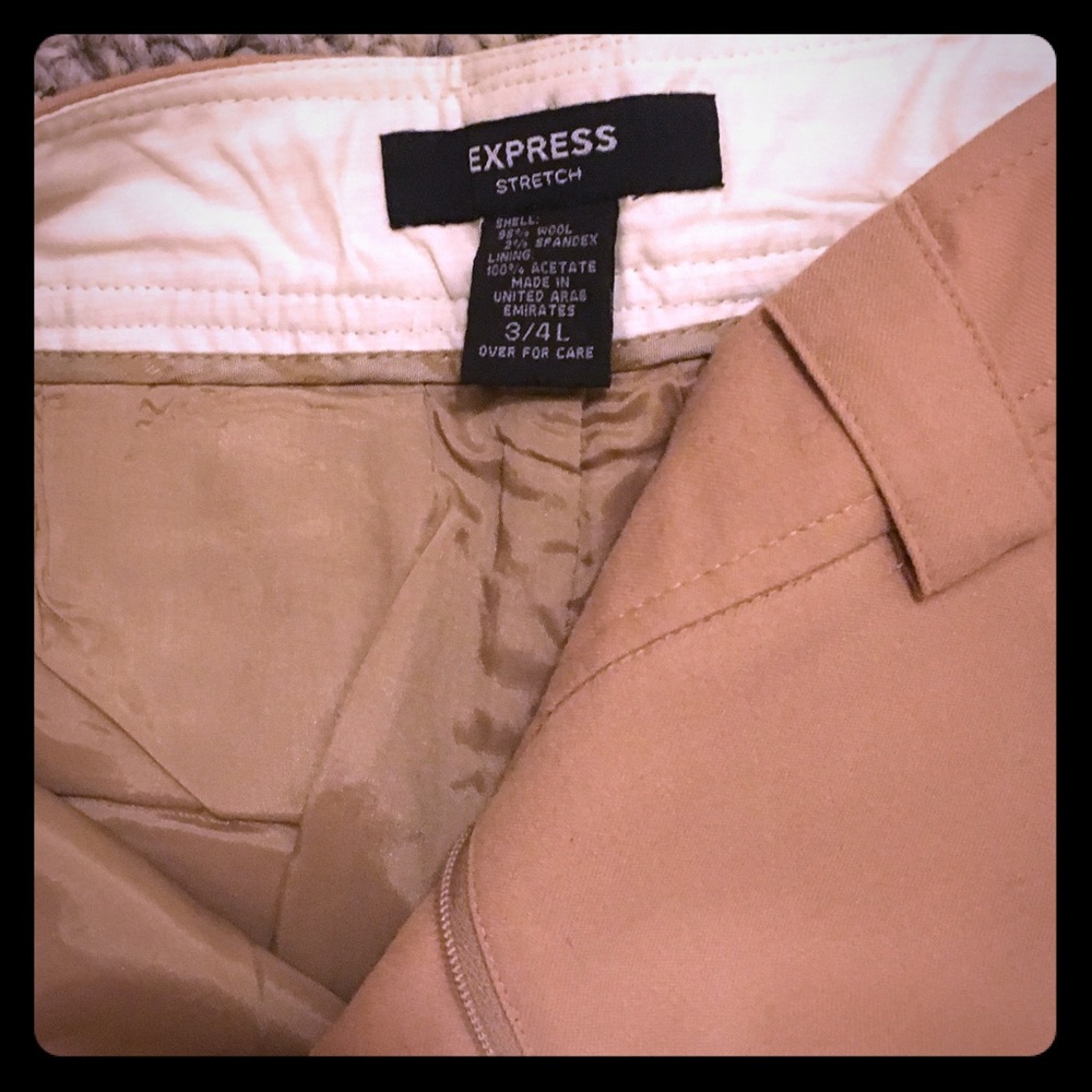 Dress pants